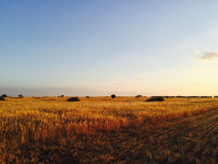 Земля в Отюкене