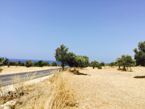 Земля в Йени Еренкой рядом с дорогой